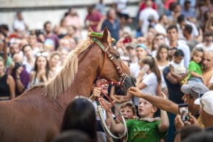 Giubilo-Selva-Palio-16-Ago-2019-355
