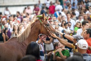 Giubilo-Selva-Palio-16-Ago-2019-356