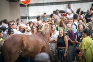 Giubilo-Selva-Palio-16-Ago-2019-359