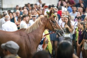 Giubilo-Selva-Palio-16-Ago-2019-363