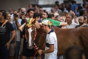 Giubilo-Selva-Palio-16-Ago-2019-393
