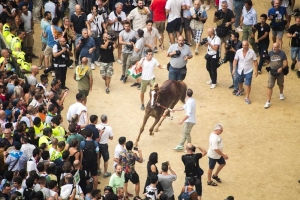 Giubilo-Selva-Palio-16-Ago-2019-73
