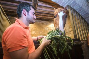 Giubilo-Selva-Palio-16-Ago-2019-758