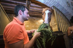 Giubilo-Selva-Palio-16-Ago-2019-759