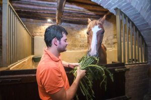 Giubilo-Selva-Palio-16-Ago-2019-760