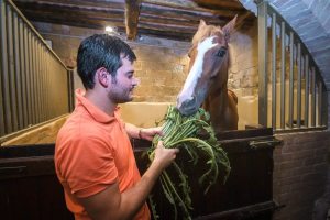 Giubilo-Selva-Palio-16-Ago-2019-763