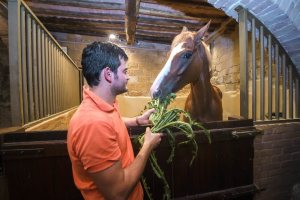 Giubilo-Selva-Palio-16-Ago-2019-764