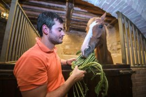 Giubilo-Selva-Palio-16-Ago-2019-771