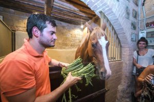 Giubilo-Selva-Palio-16-Ago-2019-774