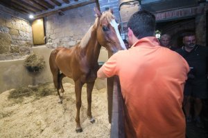 Giubilo-Selva-Palio-16-Ago-2019-776