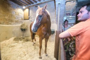 Giubilo-Selva-Palio-16-Ago-2019-778