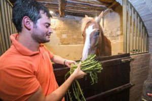 Giubilo-Selva-Palio-16-Ago-2019-779