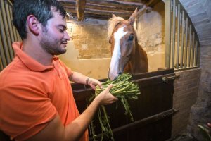 Giubilo-Selva-Palio-16-Ago-2019-780