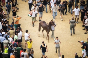 Giubilo-Selva-Palio-16-Ago-2019-79