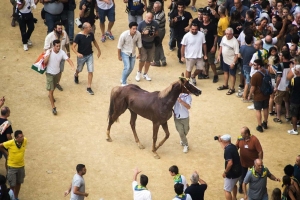 Giubilo-Selva-Palio-16-Ago-2019-81
