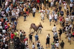 Giubilo-Selva-Palio-16-Ago-2019-96
