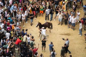 Giubilo-Selva-Palio-16-Ago-2019-99