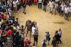 Giubilo-Selva-Palio-16-Ago-2019-101