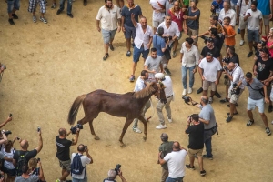 Giubilo-Selva-Palio-16-Ago-2019-106