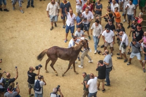 Giubilo-Selva-Palio-16-Ago-2019-107
