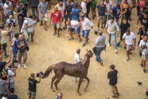 Giubilo-Selva-Palio-16-Ago-2019-112
