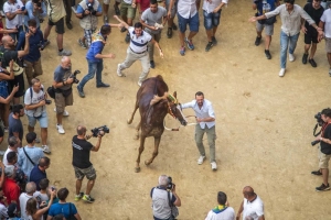 Giubilo-Selva-Palio-16-Ago-2019-114