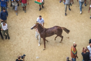 Giubilo-Selva-Palio-16-Ago-2019-118