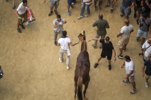 Giubilo-Selva-Palio-16-Ago-2019-123