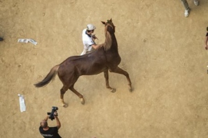 Giubilo-Selva-Palio-16-Ago-2019-127
