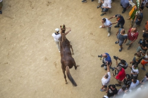 Giubilo-Selva-Palio-16-Ago-2019-149