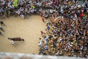 Giubilo-Selva-Palio-16-Ago-2019-154