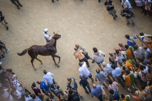 Giubilo-Selva-Palio-16-Ago-2019-163