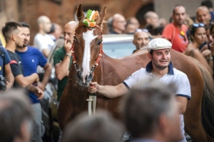 Giubilo-Selva-Palio-16-Ago-2019-340
