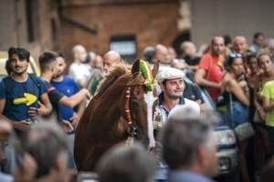 Giubilo-Selva-Palio-16-Ago-2019-341