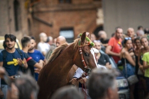 Giubilo-Selva-Palio-16-Ago-2019-342