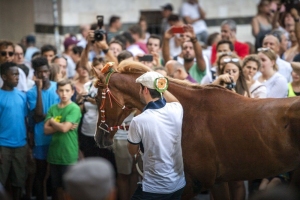 Giubilo-Selva-Palio-16-Ago-2019-345