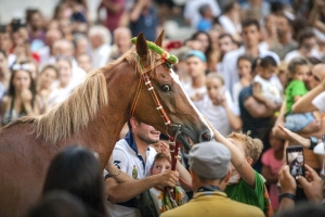 Giubilo-Selva-Palio-16-Ago-2019-353