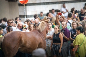 Giubilo-Selva-Palio-16-Ago-2019-359