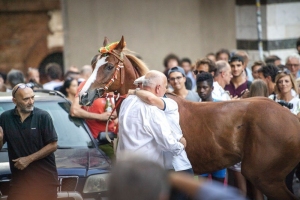 Giubilo-Selva-Palio-16-Ago-2019-360