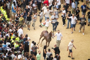 Giubilo-Selva-Palio-16-Ago-2019-74