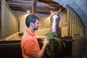 Giubilo-Selva-Palio-16-Ago-2019-760