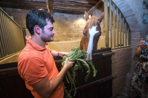 Giubilo-Selva-Palio-16-Ago-2019-762