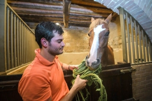 Giubilo-Selva-Palio-16-Ago-2019-772