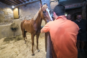 Giubilo-Selva-Palio-16-Ago-2019-776