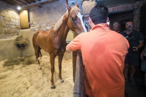 Giubilo-Selva-Palio-16-Ago-2019-777