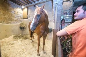 Giubilo-Selva-Palio-16-Ago-2019-778