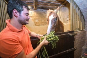 Giubilo-Selva-Palio-16-Ago-2019-779