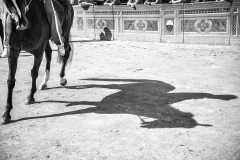Foto Palio di Siena  - Alessia Bruchi Fotografia