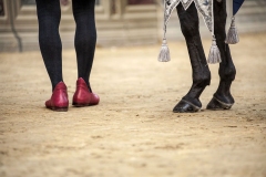 Foto Palio di Siena  - Alessia Bruchi Fotografia