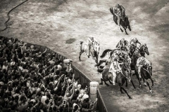 Foto Palio di Siena  - Alessia Bruchi Fotografia